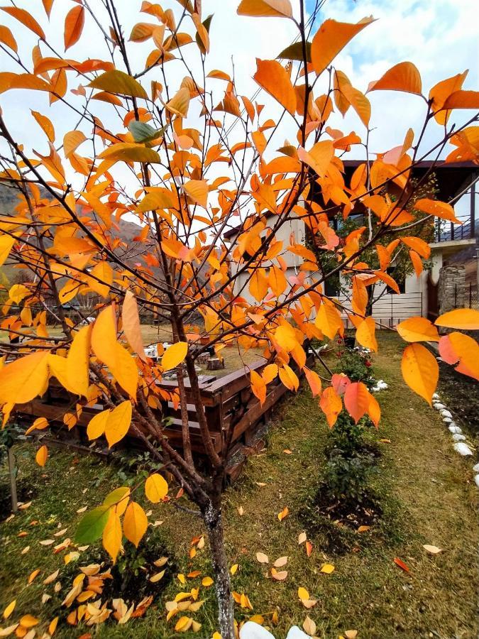 Дом для отпуска ---Аллегрия Хаус Казбеги Экстерьер фото