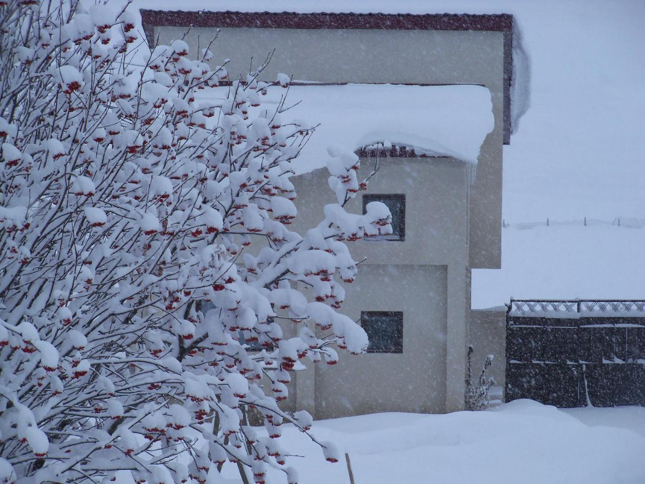 Дом для отпуска ---Аллегрия Хаус Казбеги Экстерьер фото